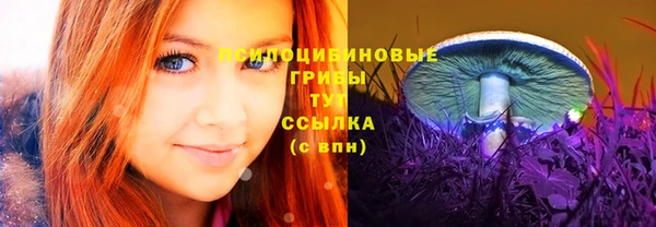 герыч Няндома