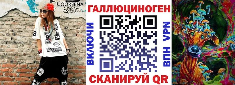 дарнет шоп  Покачи  kraken как войти  Галлюциногенные грибы Psilocybine cubensis 